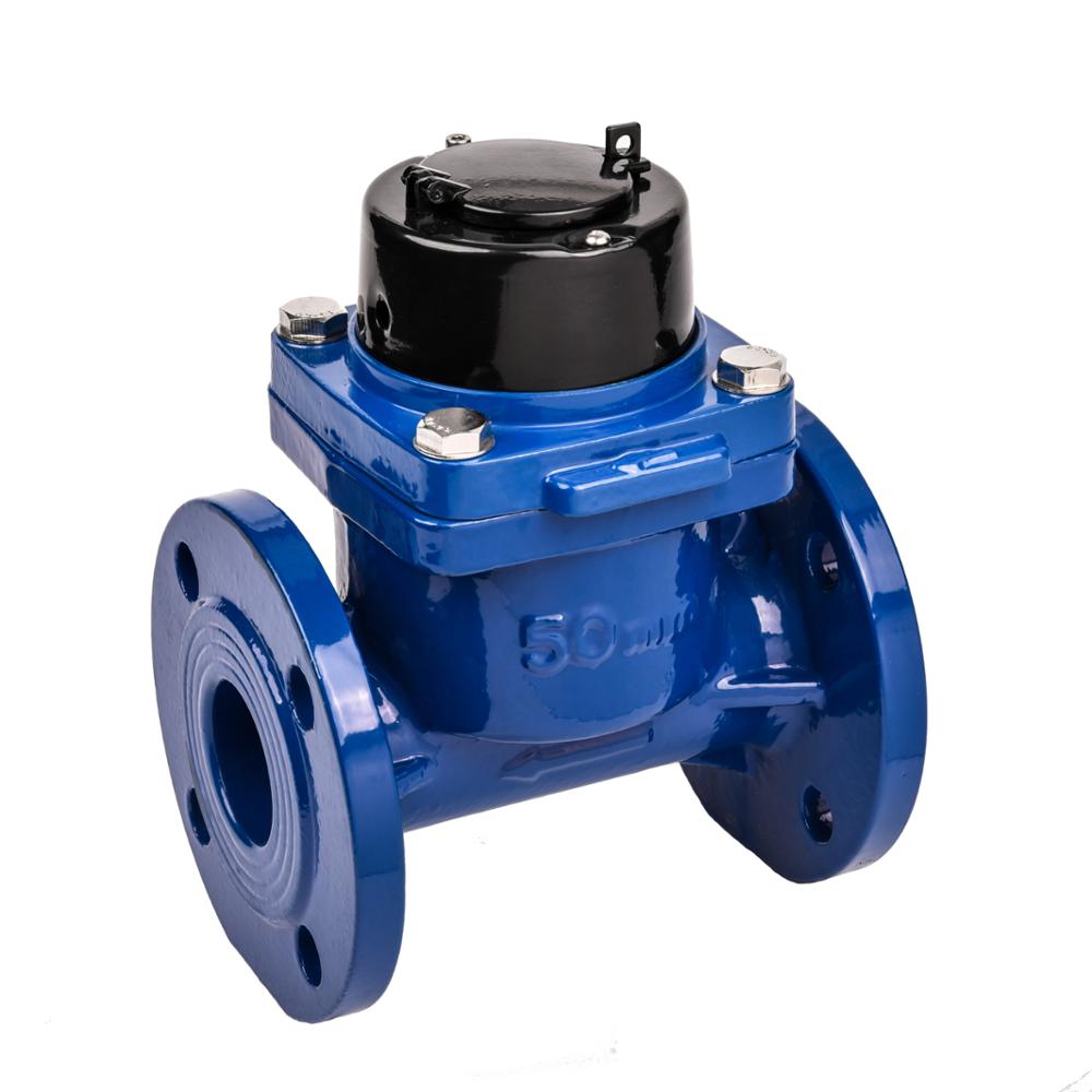 LXLN-50E-300E Irrigation Water Meter