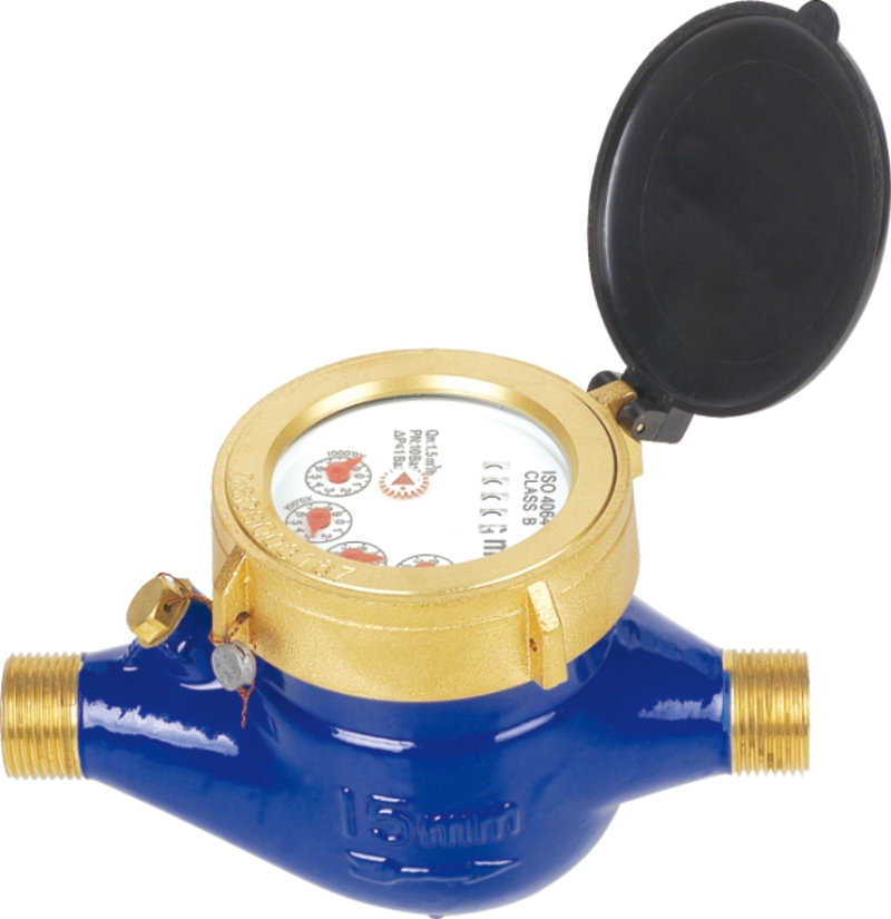 LXSG-15E1-50E1 R160/ Class C Multi Jet Brass Water Meter
